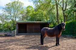 Hunters Lodge, Backwell Hill, BS48 - exceptional country estate set in 15 acres with extensive equestrian facilities