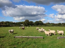 Nempnett Thrubwell, listed barn with full PP for conversion