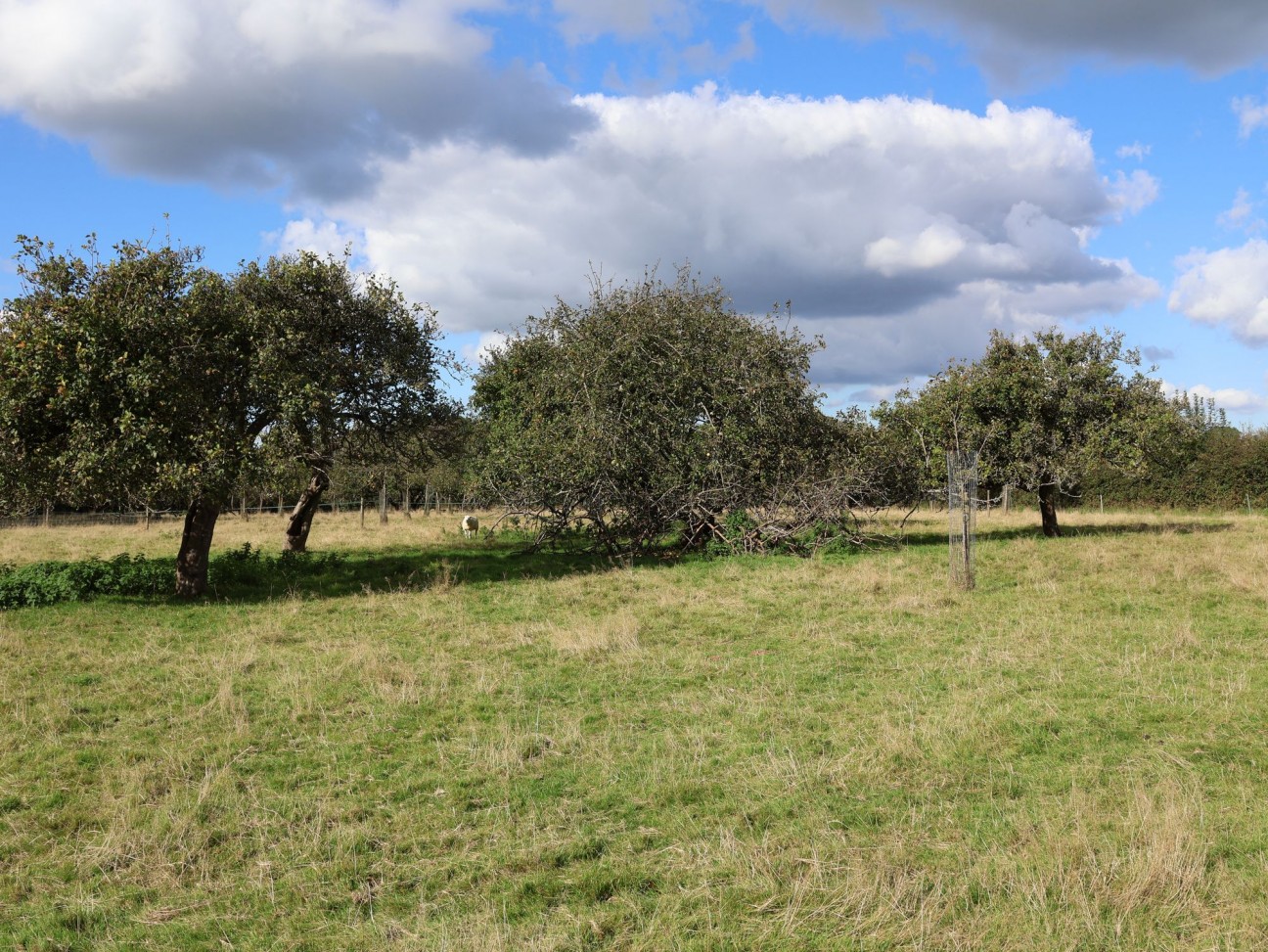 Nempnett Thrubwell, listed barn with full PP for conversion