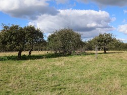 Nempnett Thrubwell, listed barn with full PP for conversion