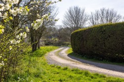 Dinghurst Road, Churchill, BS25