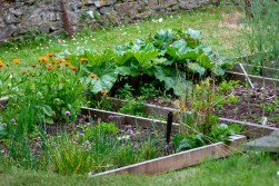 Wellhouse Farm, Tickenham, BS21 - exquisitely presented character farmhouse with glorious gardens