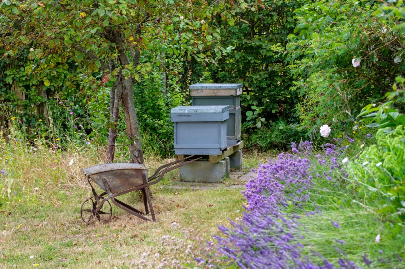 Wellhouse Farm, Tickenham, BS21 - exquisitely presented character farmhouse with glorious gardens
