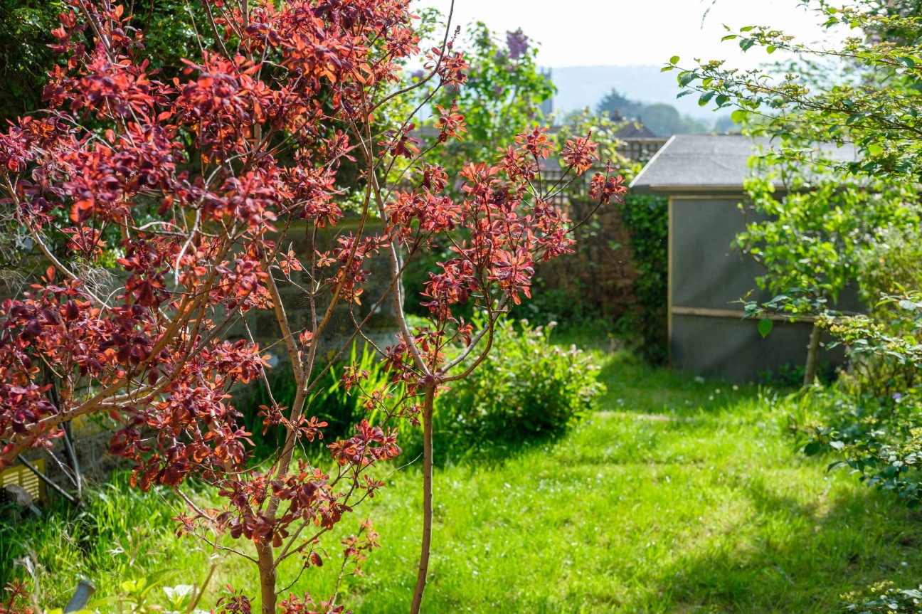 Street End, Blagdon, BS40