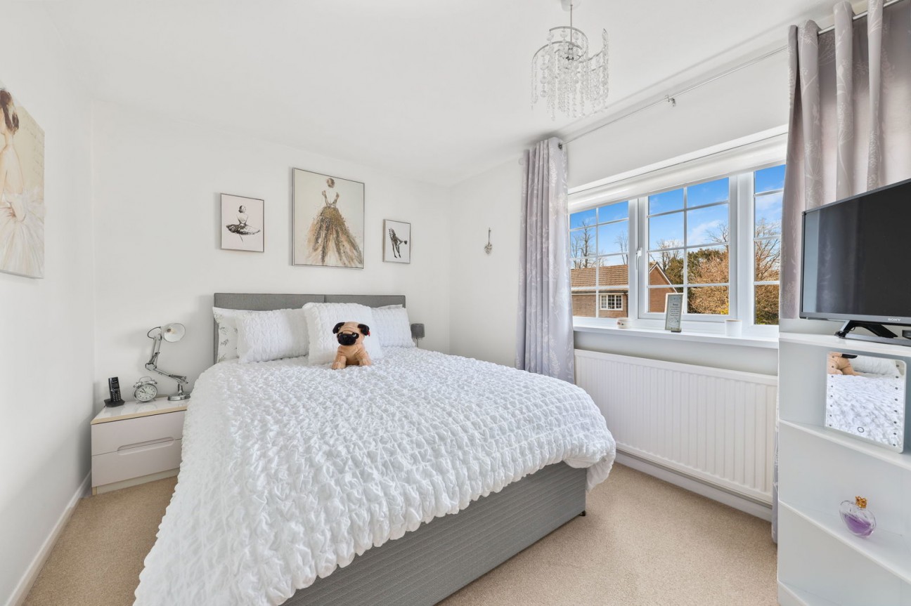 Park Avenue, Darley Dale. Matlock.