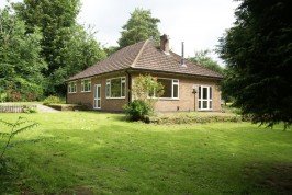 Sutton Spring Wood, Calow, S44 5XF