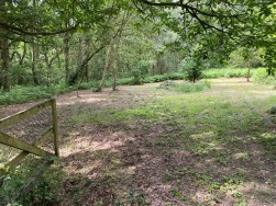 Sutton Spring Wood, Calow, S44 5XF