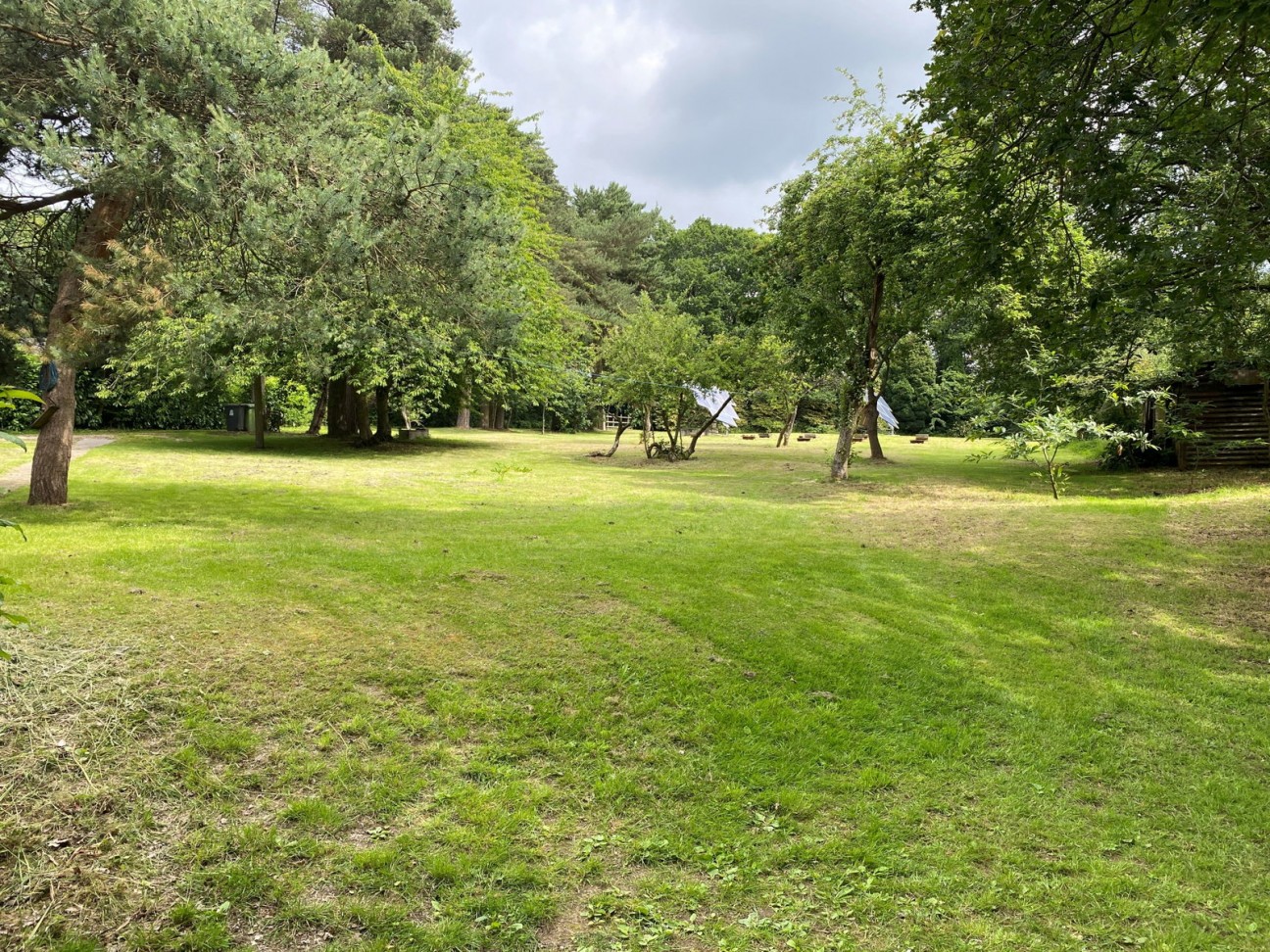 Sutton Spring Wood, Calow, S44 5XF