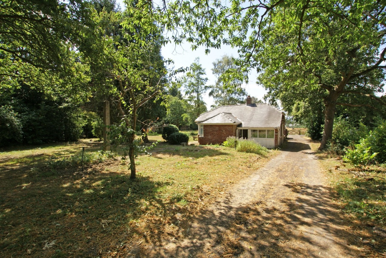 Sutton Spring Wood, Temple Normanton, S42 5DT