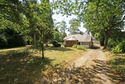 Sutton Spring Wood, Temple Normanton, S42 5DT