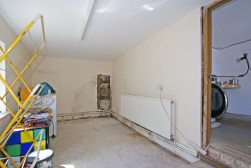 Sutton Spring Wood, Temple Normanton, S42 5DT