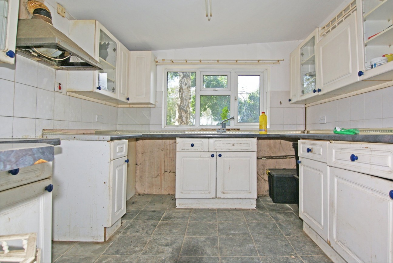 Sutton Spring Wood, Temple Normanton, S42 5DT