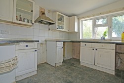 Sutton Spring Wood, Temple Normanton, S42 5DT