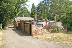Sutton Spring Wood, Temple Normanton, S42 5DT