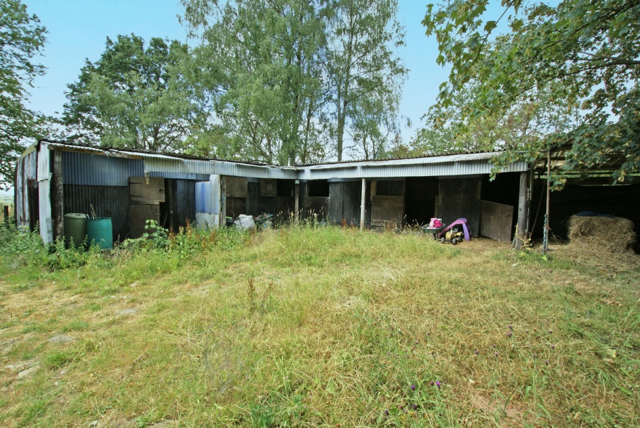 Sutton Spring Wood, Temple Normanton, S42 5DT