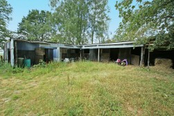 Sutton Spring Wood, Temple Normanton, S42 5DT