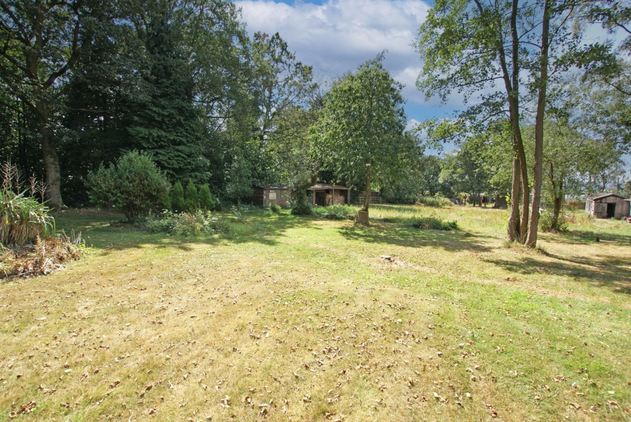 Sutton Spring Wood, Temple Normanton, S42 5DT