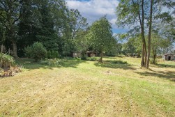 Sutton Spring Wood, Temple Normanton, S42 5DT