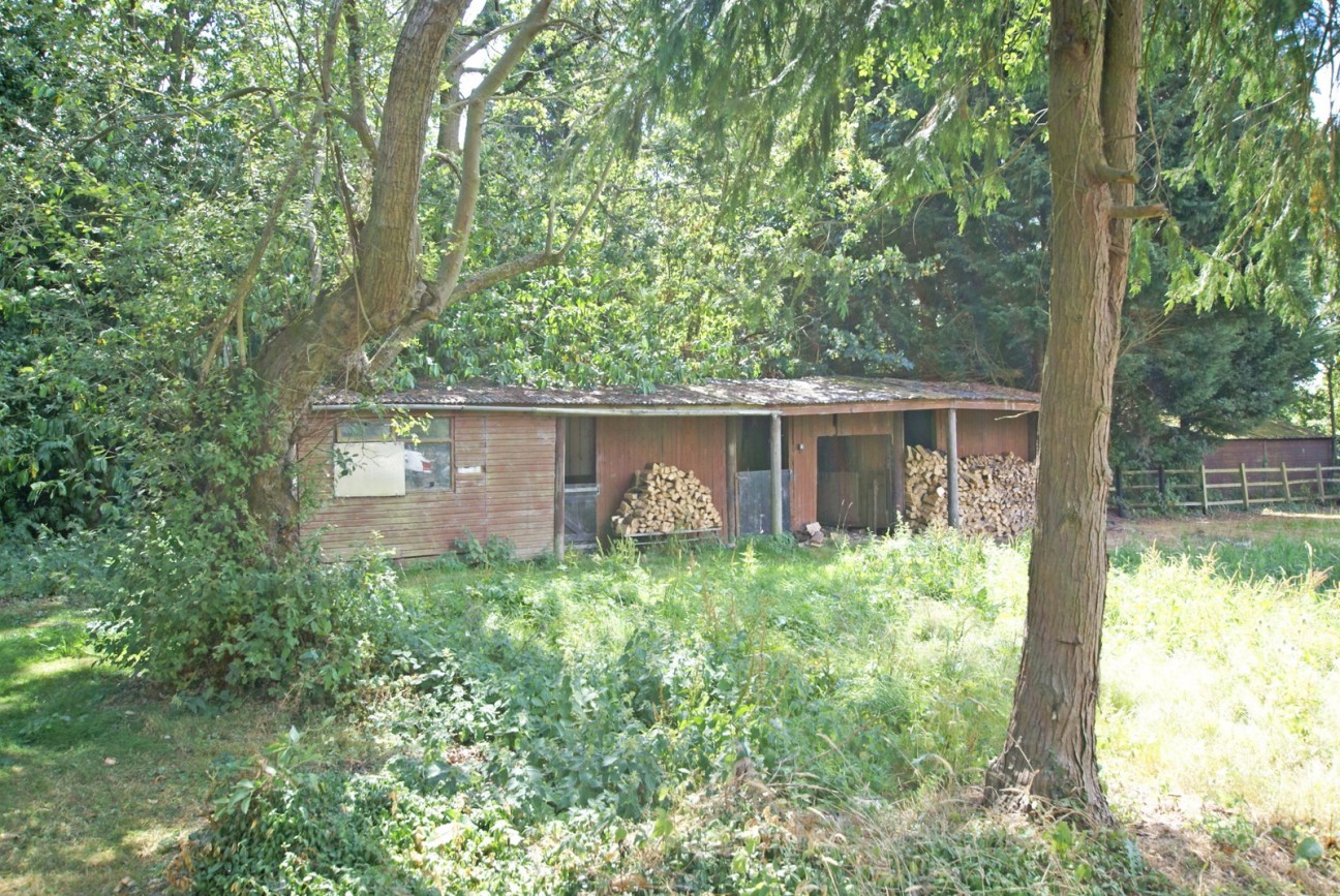 Sutton Spring Wood, Temple Normanton, S42 5DT