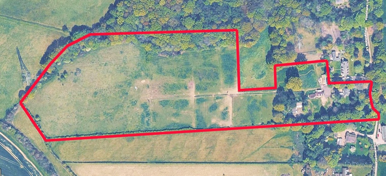 Sutton Spring Wood, Temple Normanton, S42 5DT