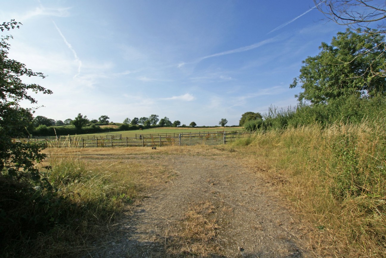 Sutton Spring Wood, Temple Normanton, S42 5DT