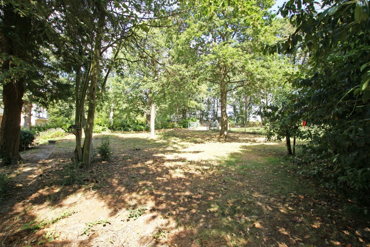 Sutton Spring Wood, Temple Normanton, S42 5DT