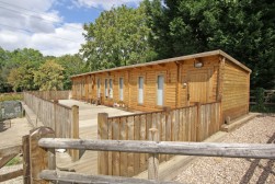 Sutton Spring Wood, Temple Normanton, S42 5DT