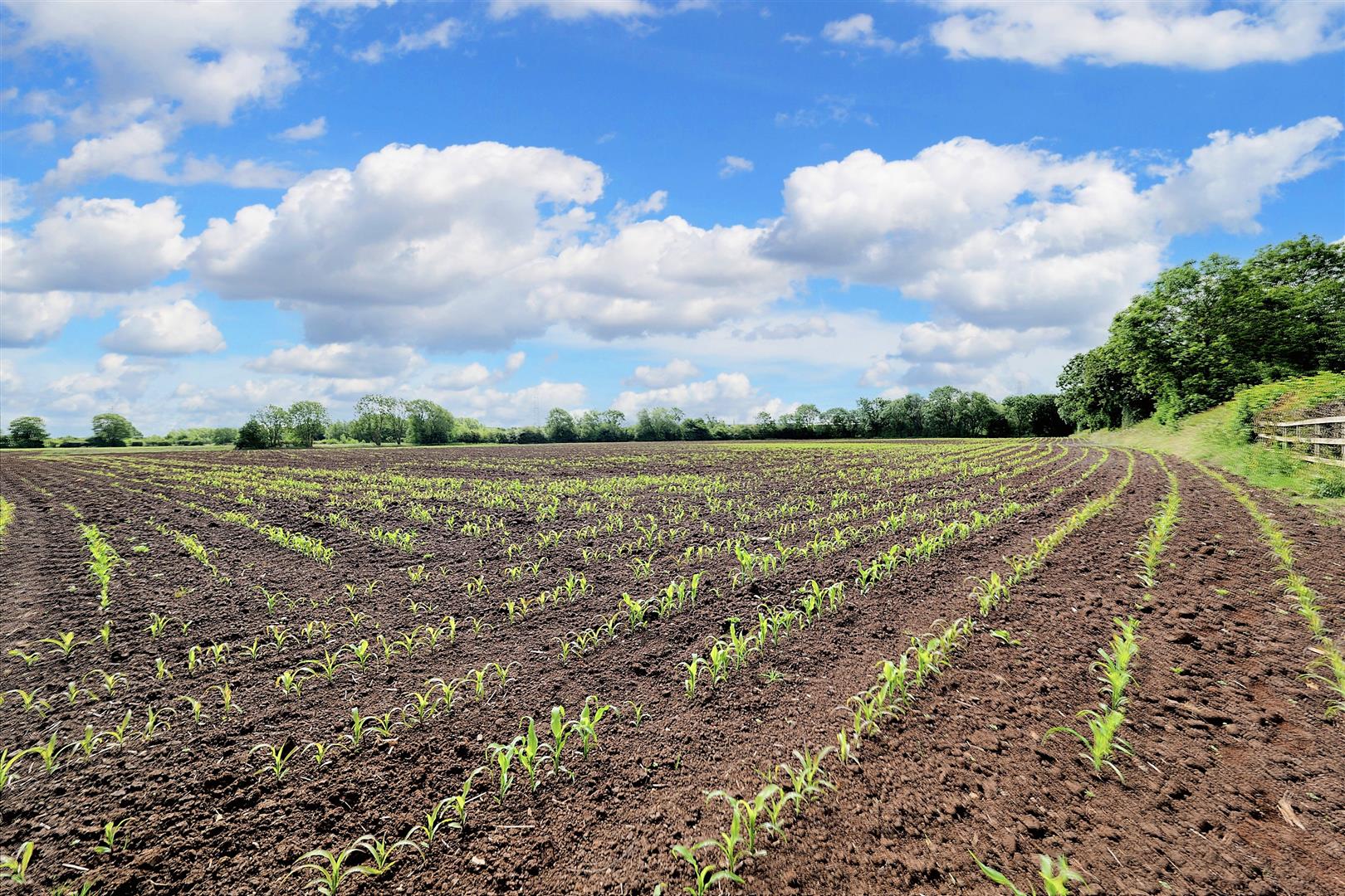 Image of Land at Castle Donnington