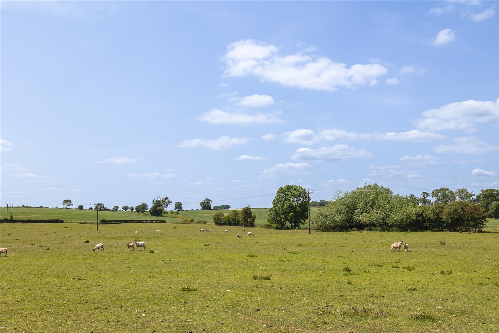 Image of Lot 3 - Land off Church Lane, Hoby, Leicestershire