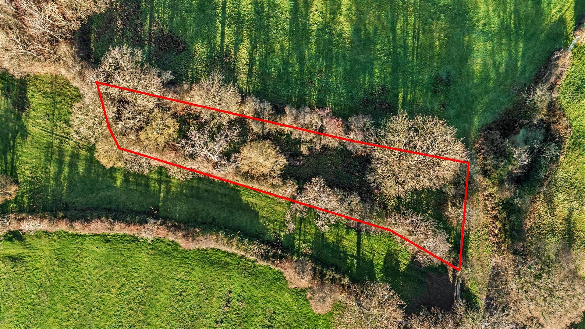 Image of Land lying to the north west of Castle Hill, Upper Brailes,