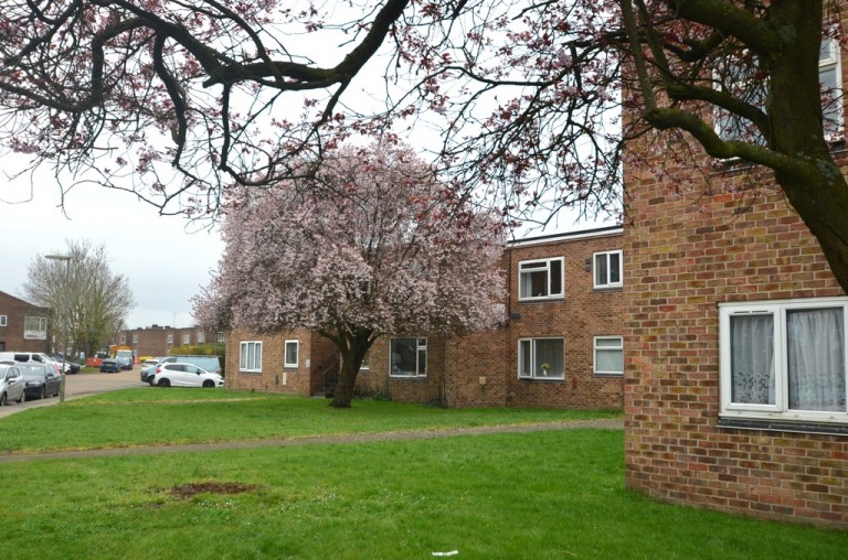 Whitley Close, Staines-upon-Thames