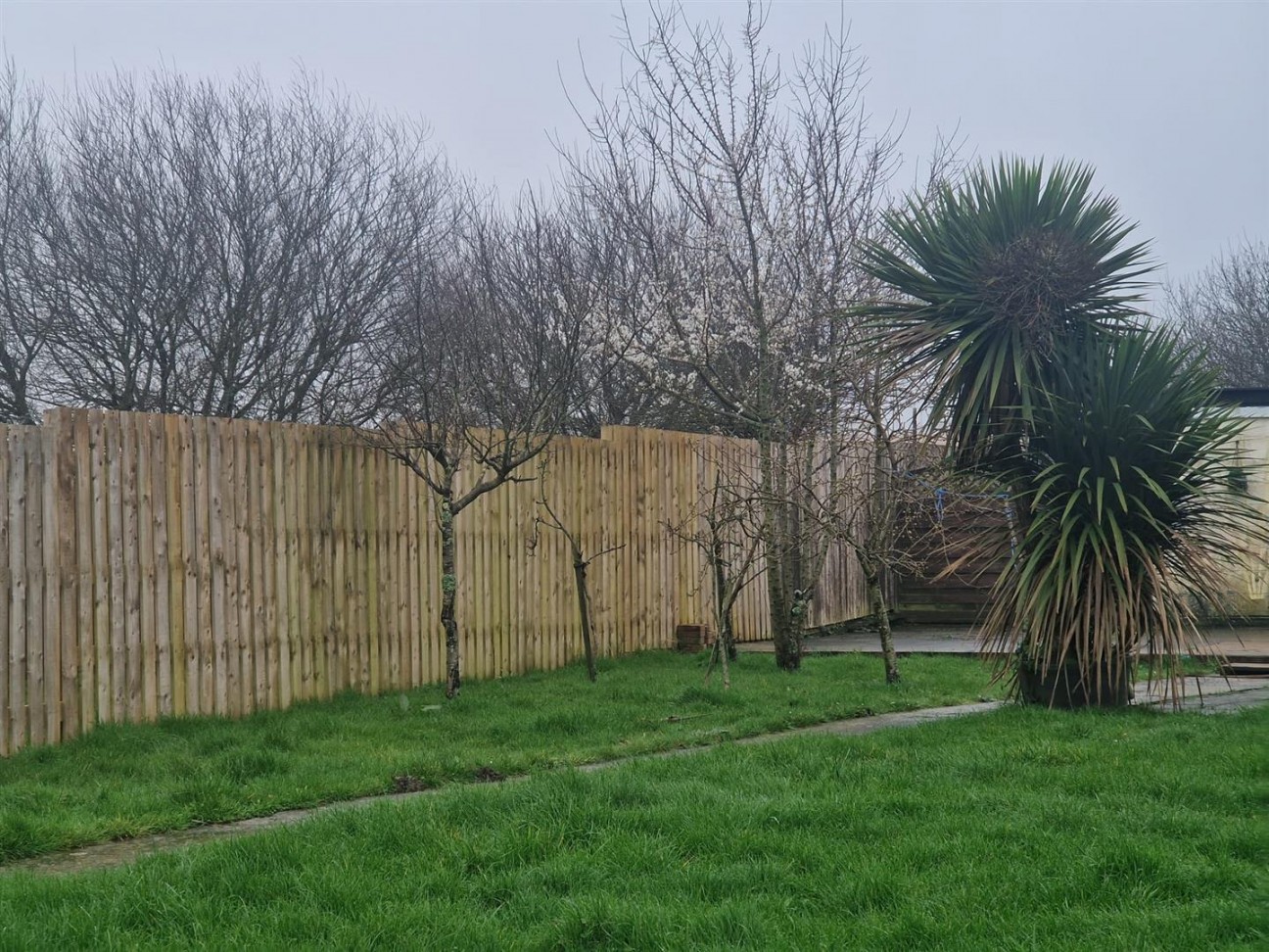 Mynydd Newydd Road, Swansea