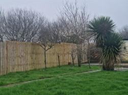 Mynydd Newydd Road, Swansea