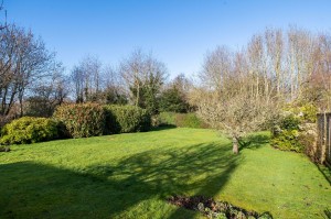 Manor Farm Meadow, East Leake