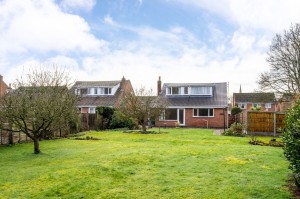 Manor Farm Meadow, East Leake