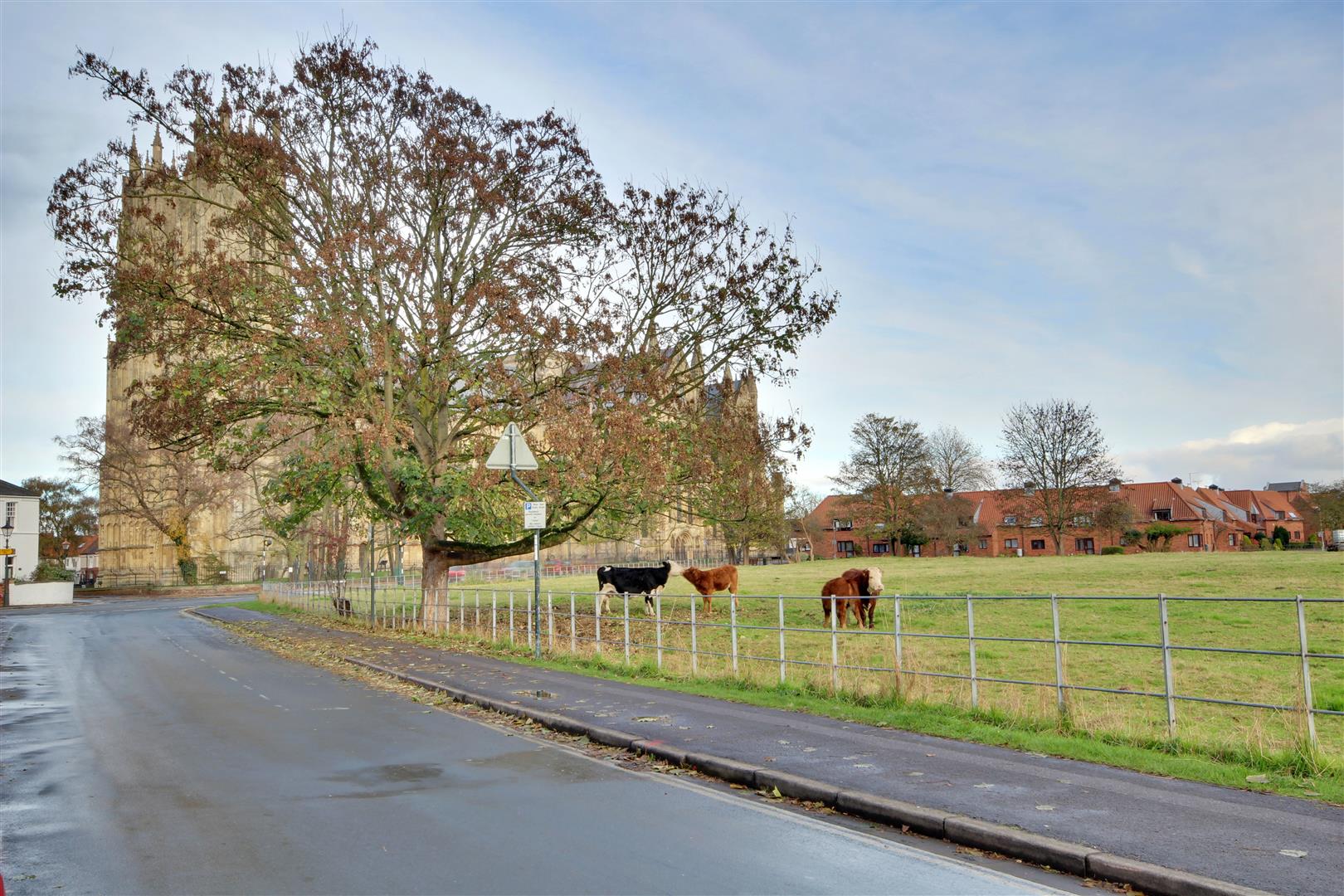 Long Lane, Beverley