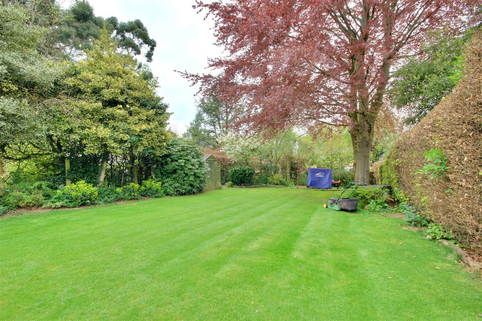 Driffield Road, BEVERLEY