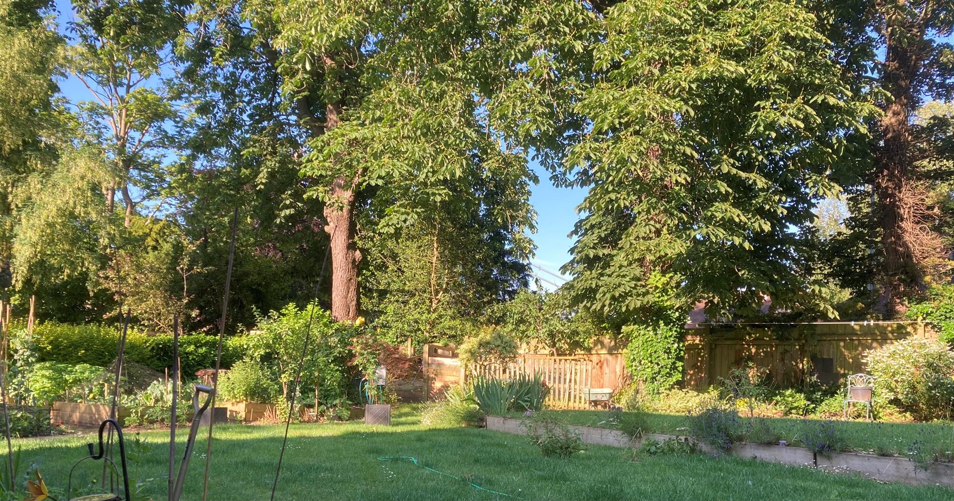 Bluebell Gardens, Hessle