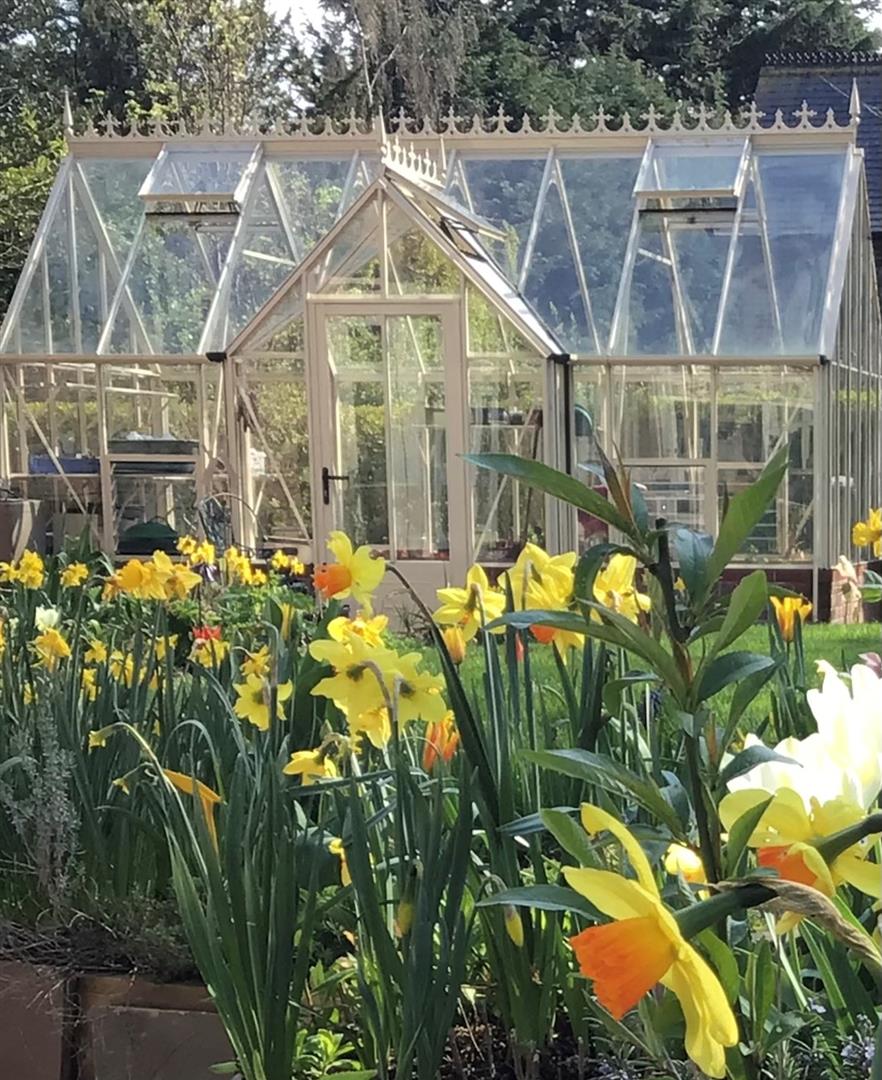 Bluebell Gardens, Hessle
