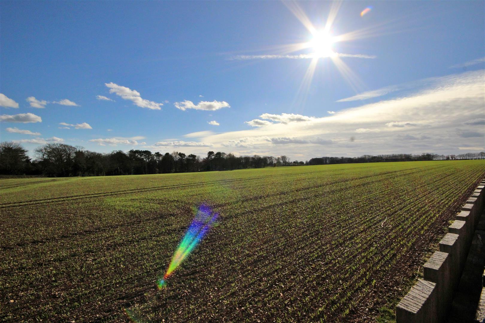 Barber Grove, Swanland