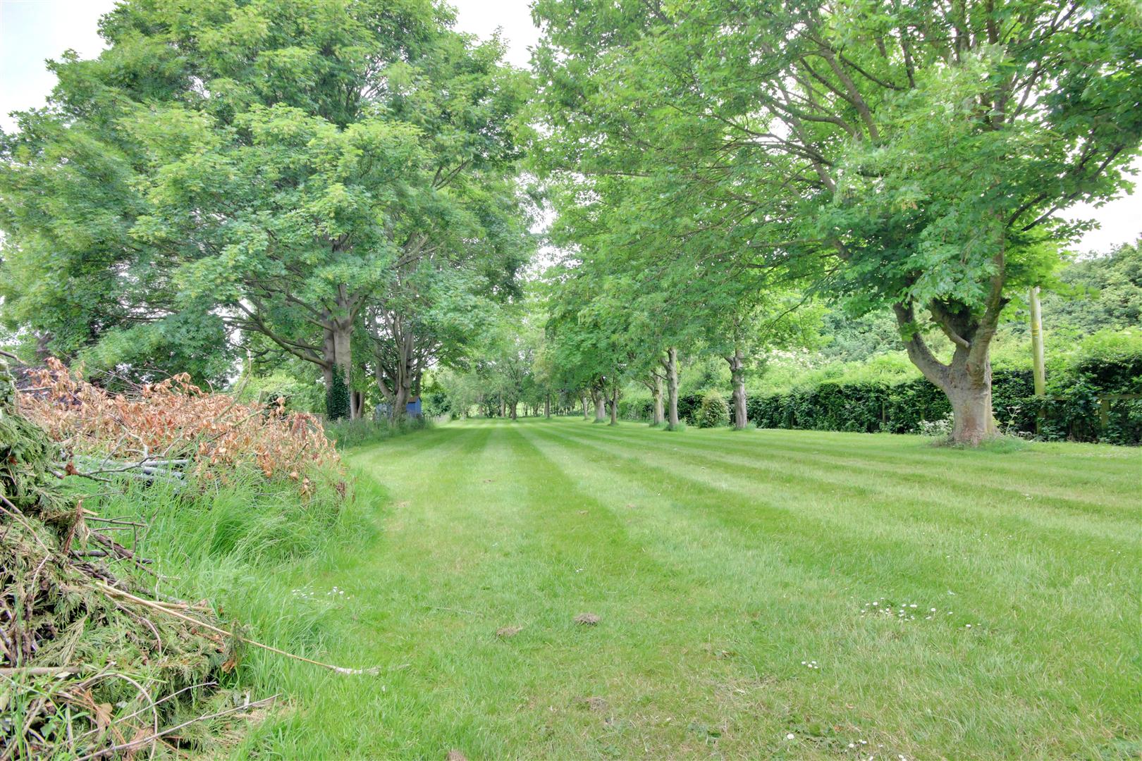 North Road, Lund, Driffield