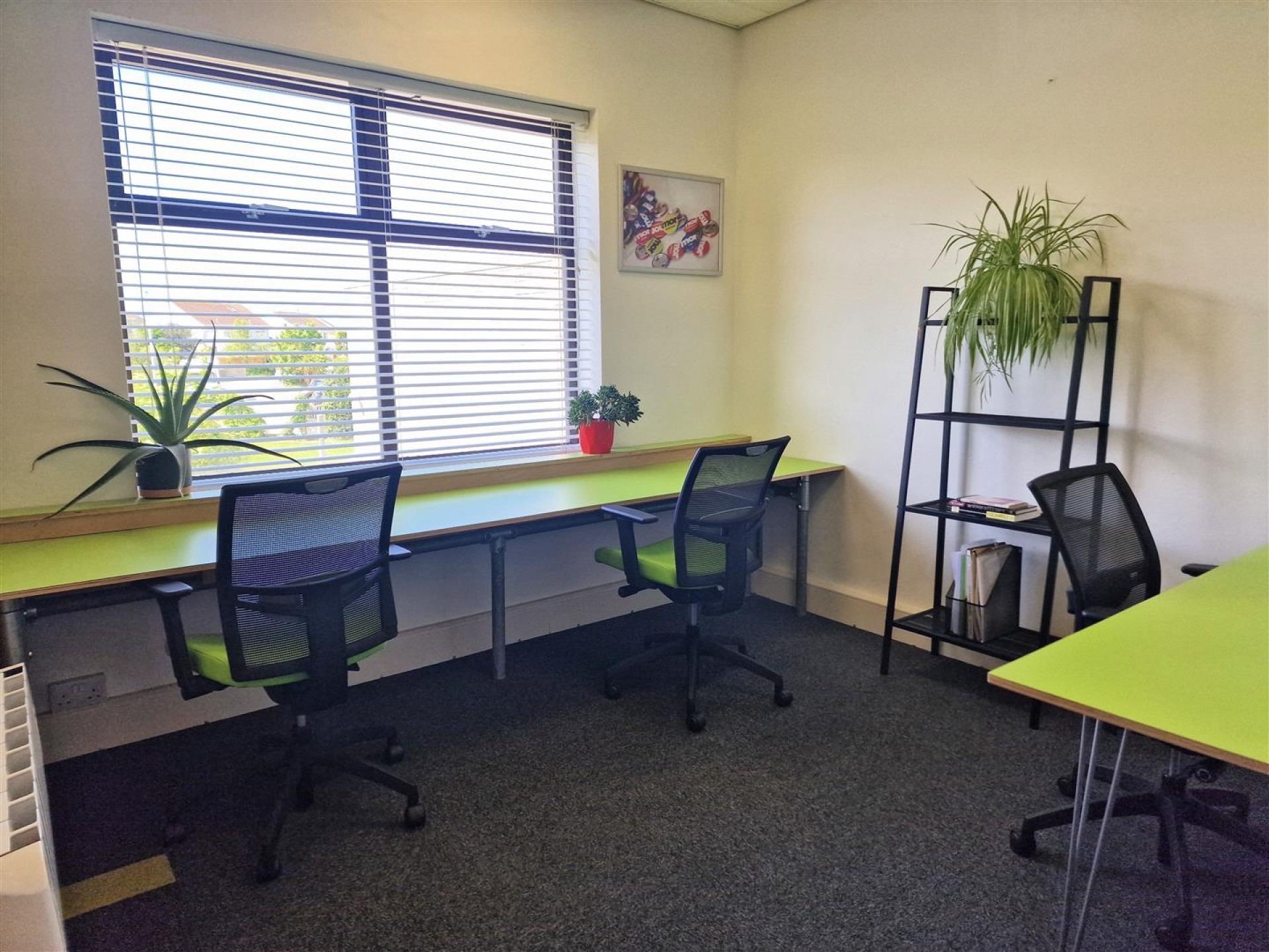 Treloggan Lane, Newquay