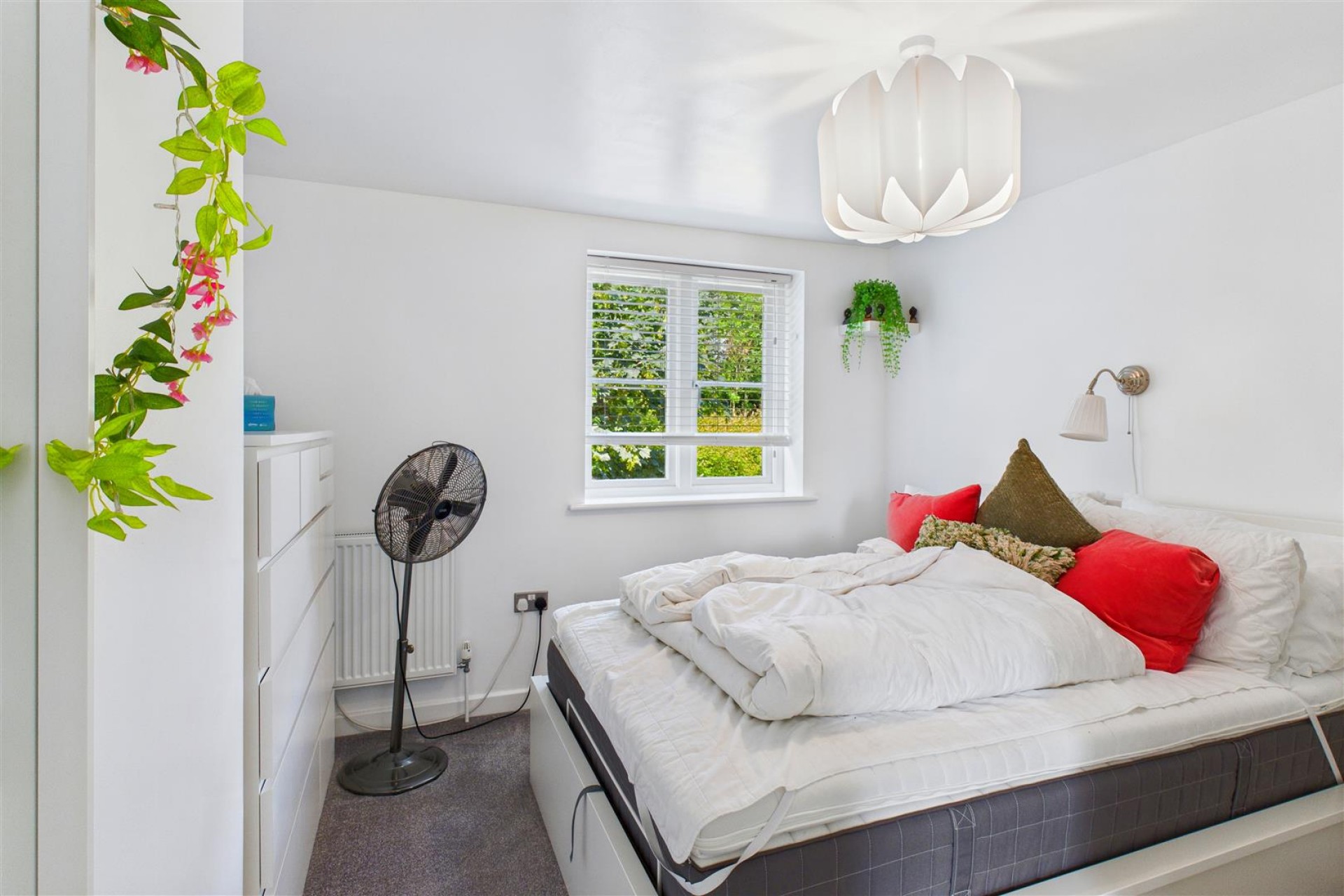 Stret Morgan Le Fay, Newquay