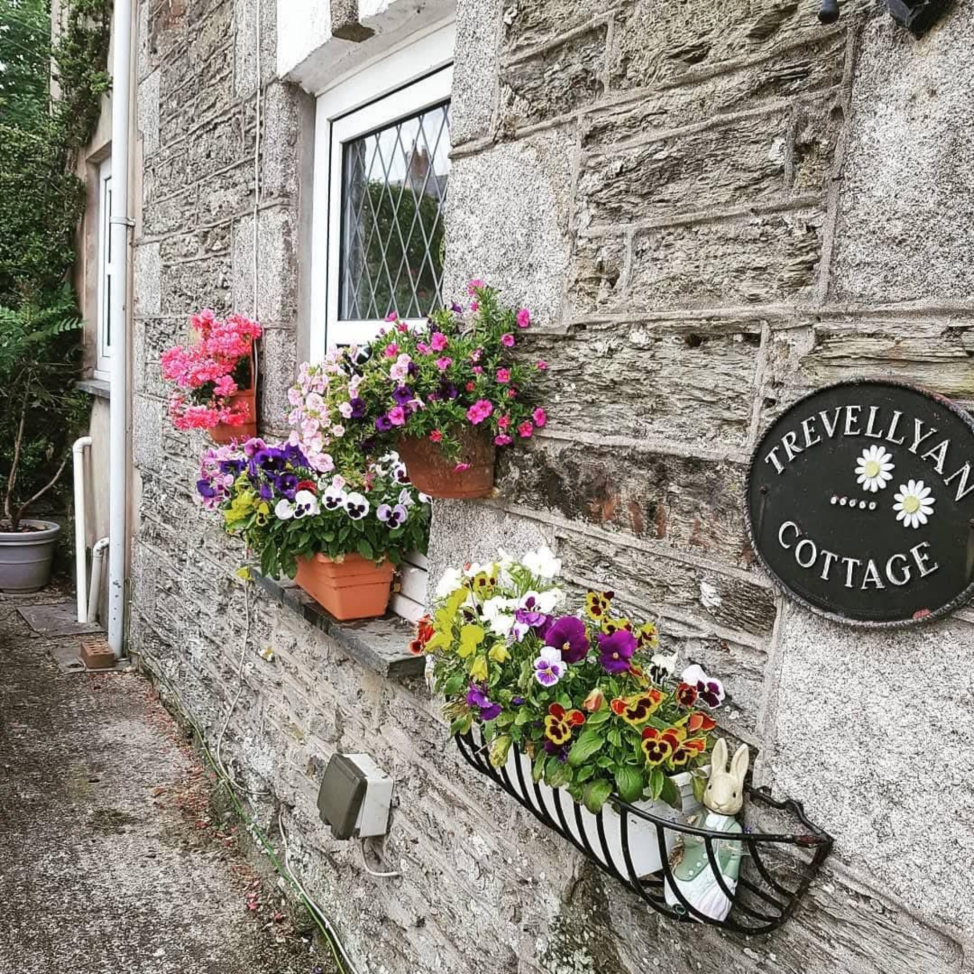 Nanhayes Row, St. Newlyn East,