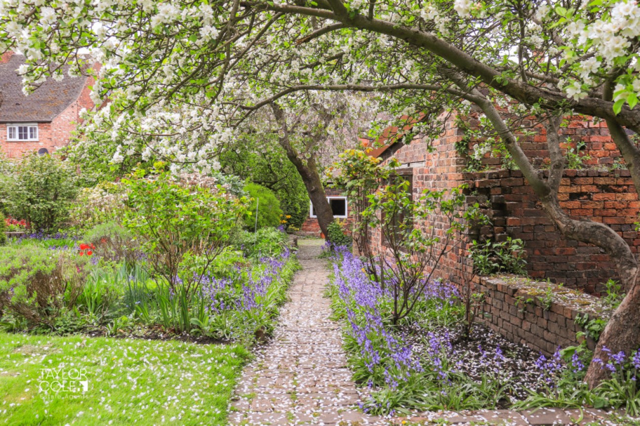 The Green, Amington