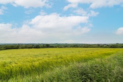 Wigford Road, Dosthill