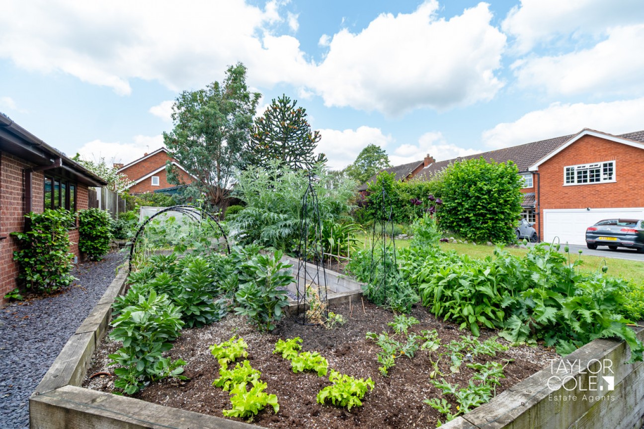 Chandlers Drive, Amington