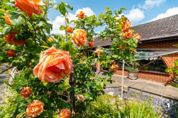 Chandlers Drive, Amington