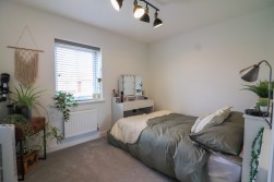 Austen Drive, Tamworth
