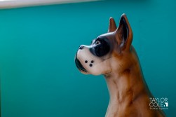 Drayton Bassett, Tamworth